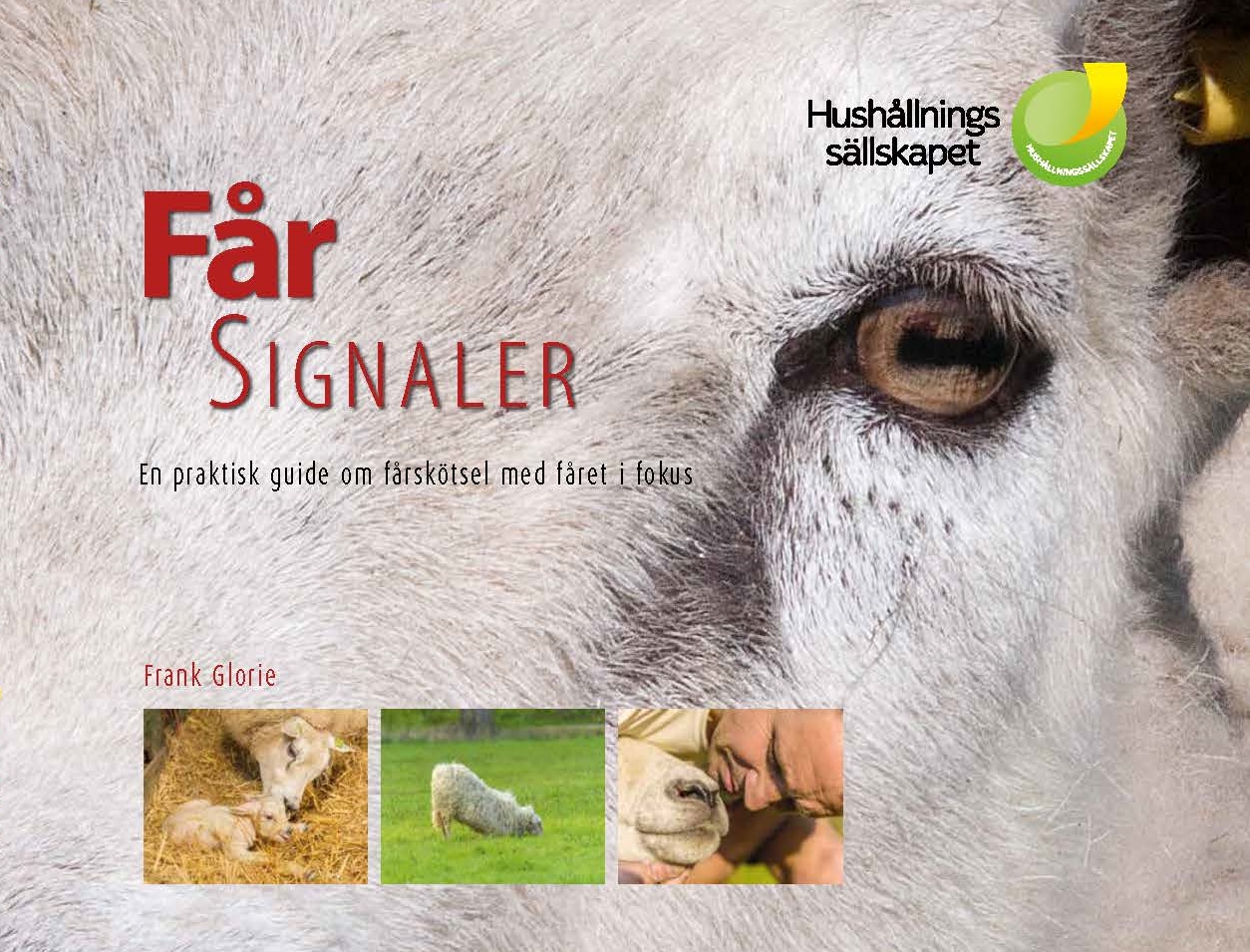 Artikel: Ny bok om fårens signaler