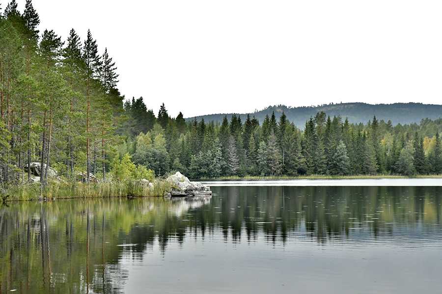 Vy över Hundsjön, en udde och berg. Träd som speglar sig i den blanka vattenytan.